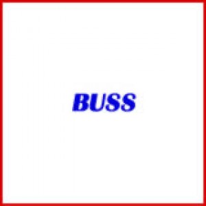 SHELIX Heads for Planers by BUSS