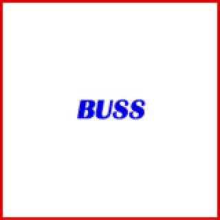 SHELIX Heads for Planers by BUSS