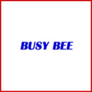 SHELIX Heads for Jointers by BUSY BEE