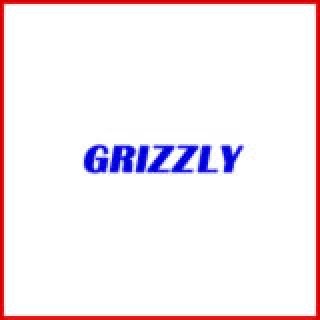 SHELIX Heads for Planers by GRIZZLY