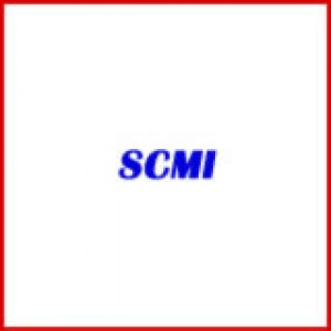SHELIX Heads for Planers by SCMI